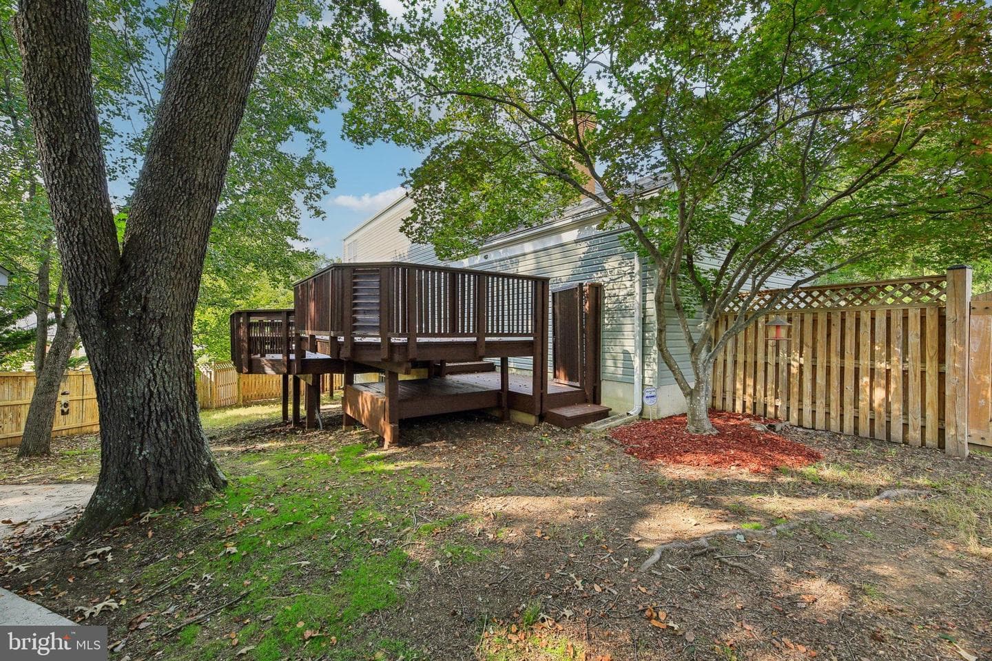 11718 Basswood Drive photo 36