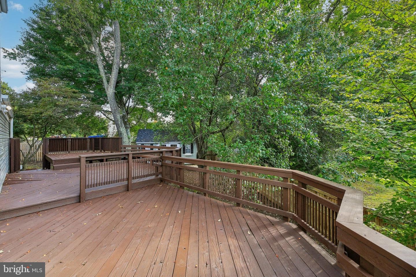 11718 Basswood Drive photo 39
