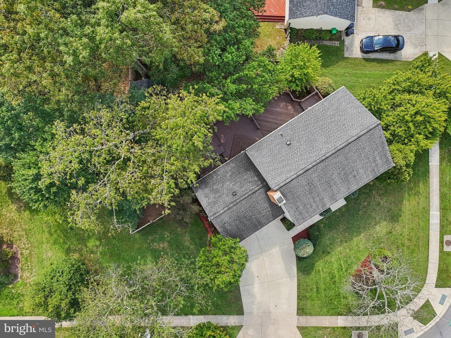 11718 Basswood Drive photo 44