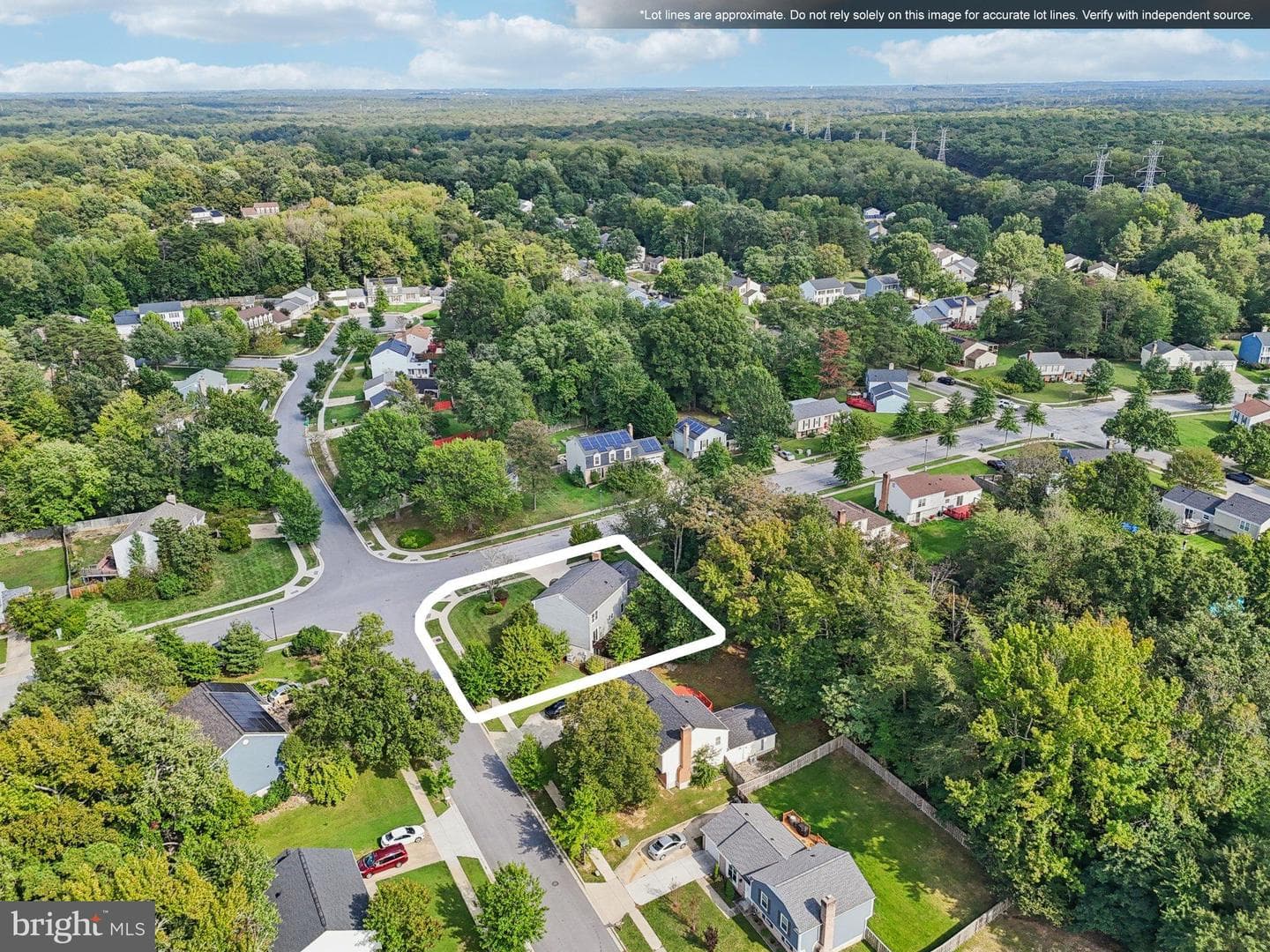 11718 Basswood Drive photo 48
