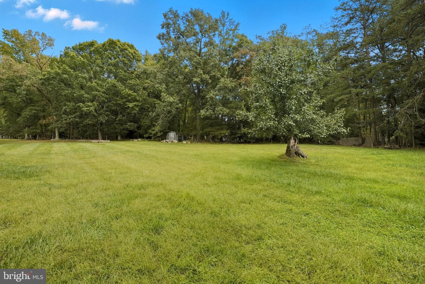 7904 Birdsong Drive photo 38