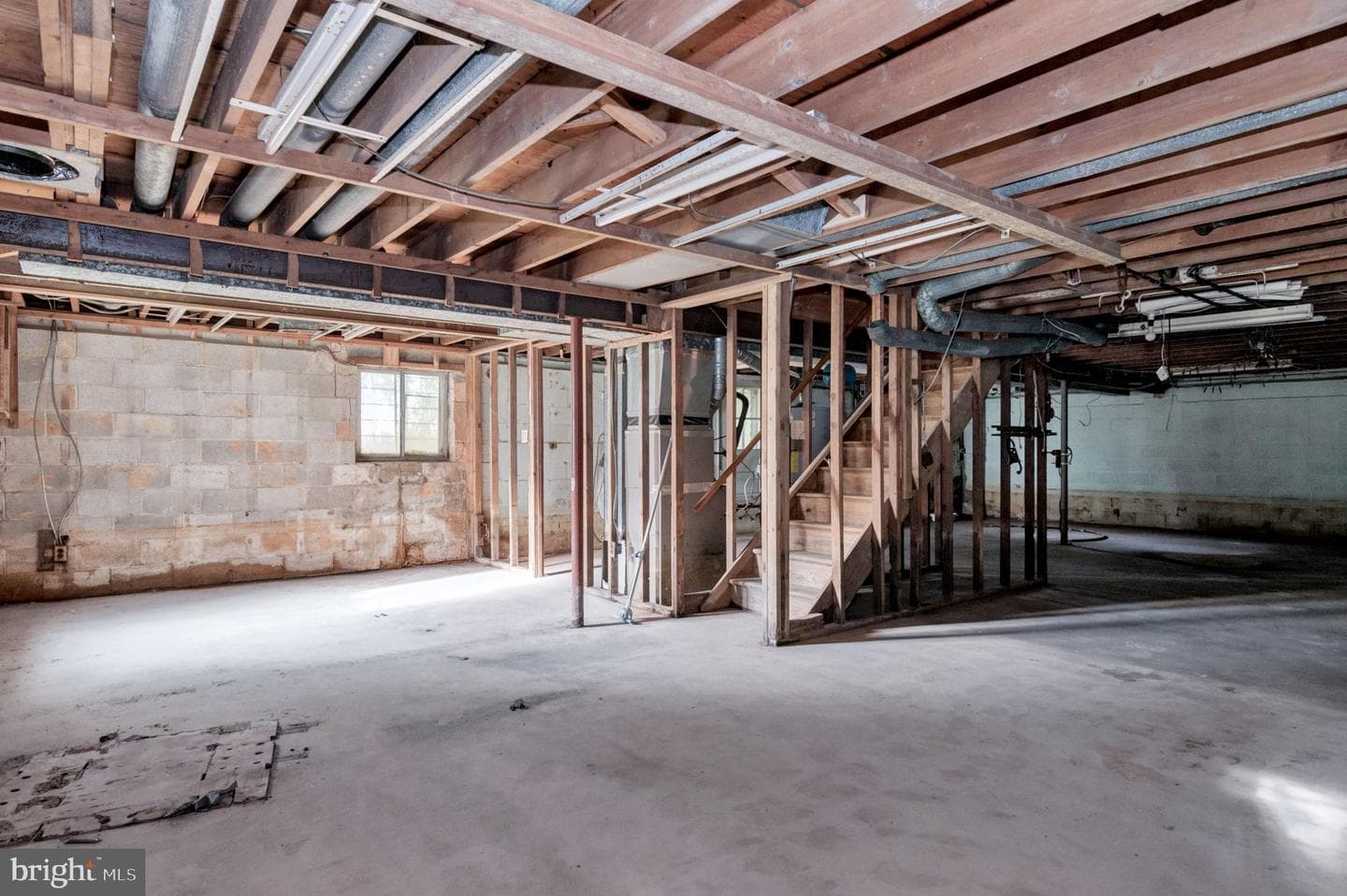 8802 Cipriano Court photo 24