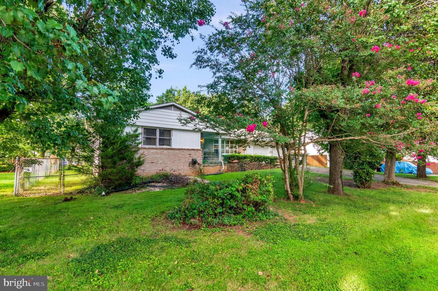 8802 Cipriano Court photo 26