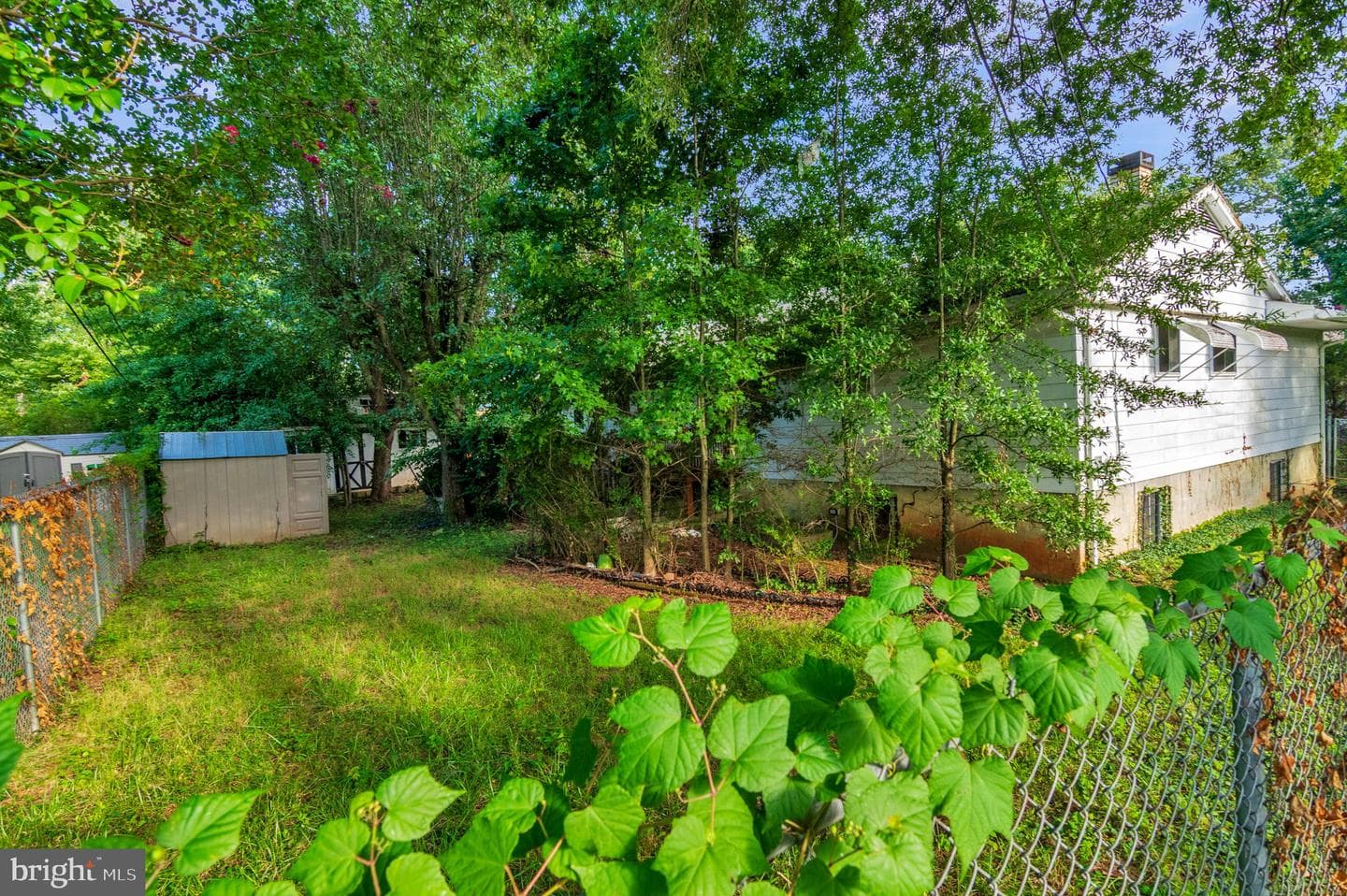 8802 Cipriano Court photo 27