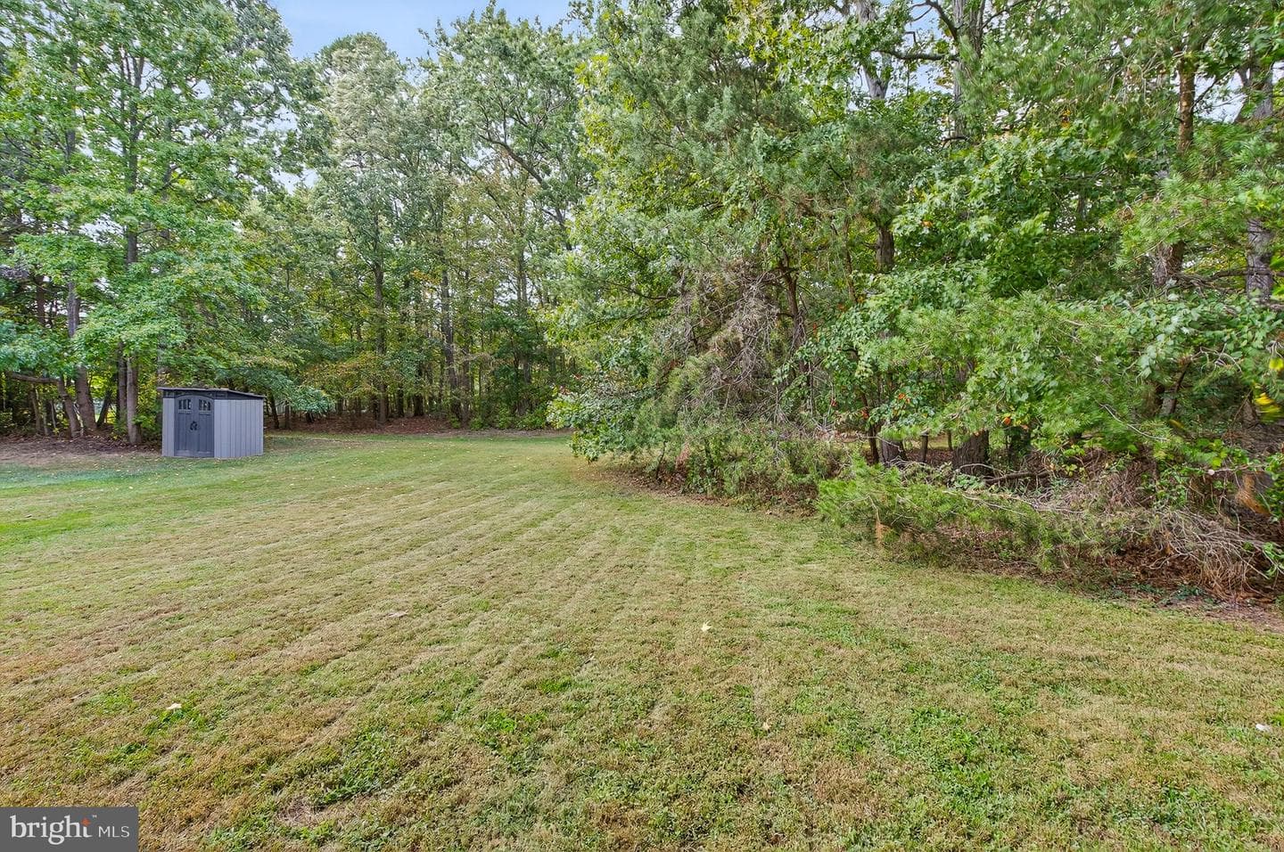 10300 Ackerly Terrace photo 31