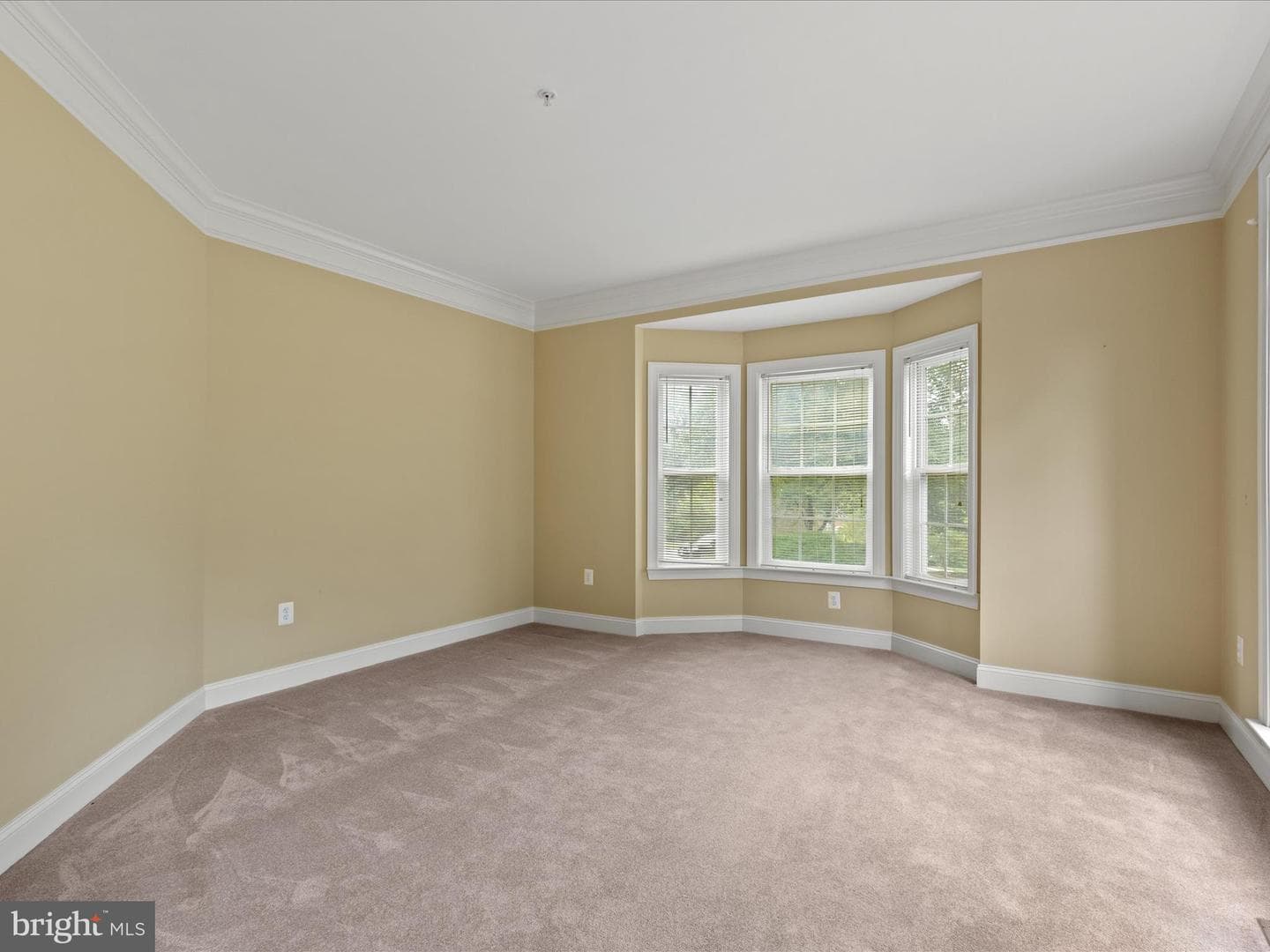 1212 Granada Street photo 7