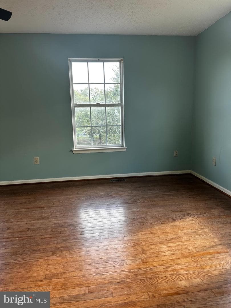 3800 Europe Lane photo 16