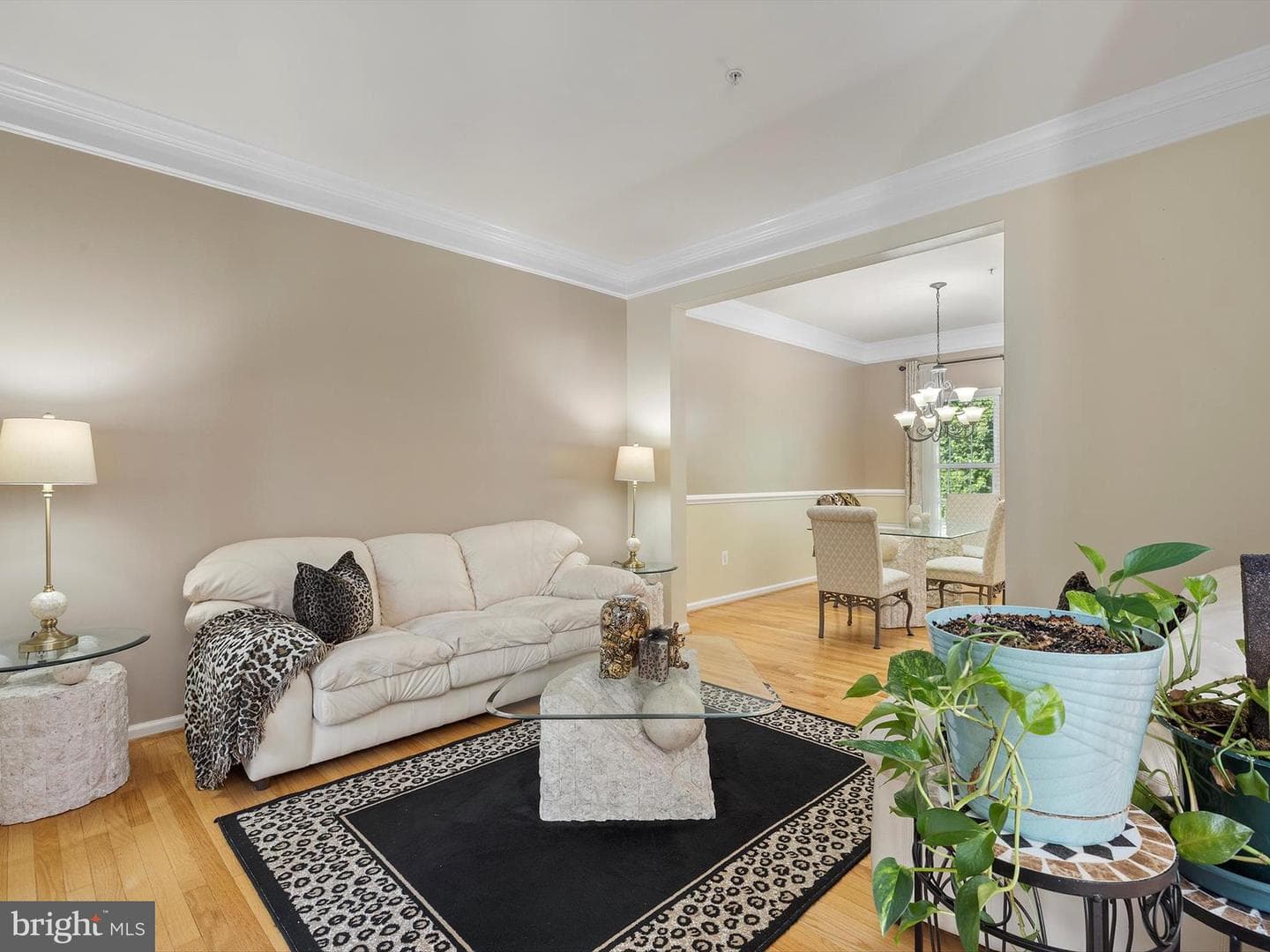 13722 Hotomtot Drive photo 8