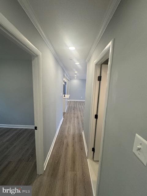 4618 Pendall Drive photo 17