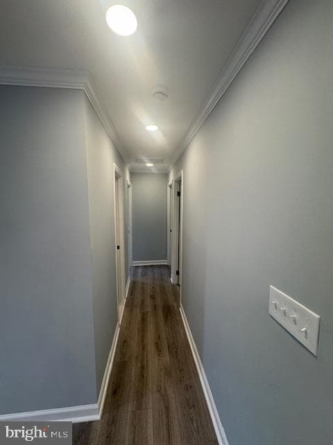 4618 Pendall Drive photo 18