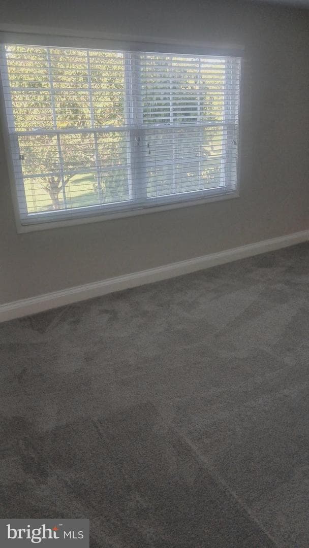 4421 Romlon Street #101 photo 12