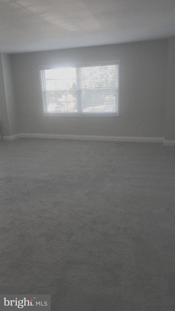 4421 Romlon Street #101 photo 17
