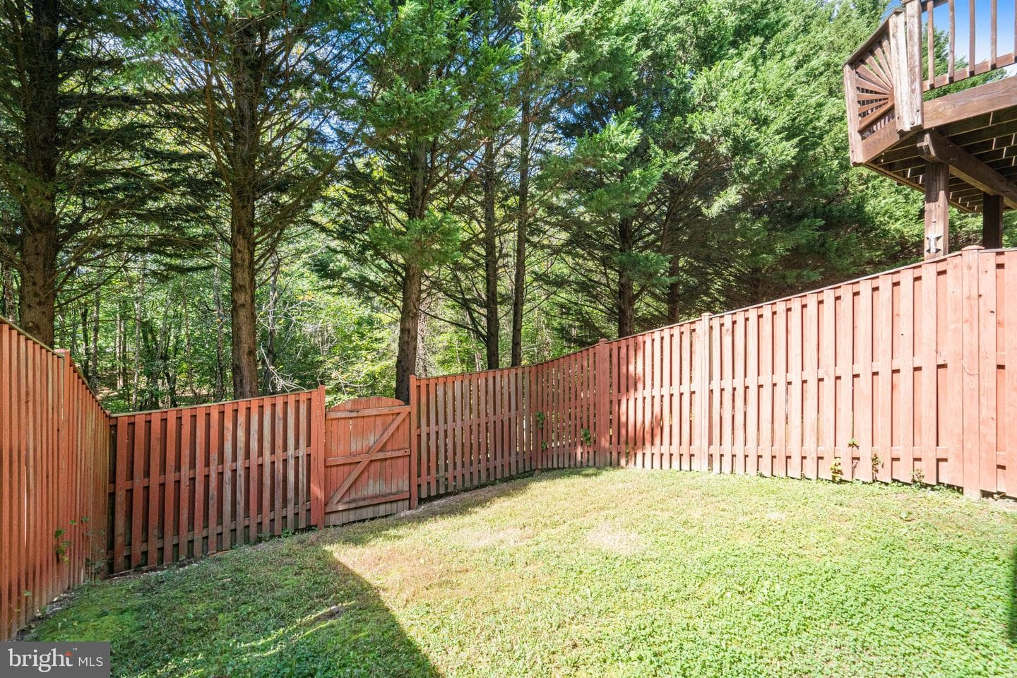 9923 Quiet Brook Lane photo 30