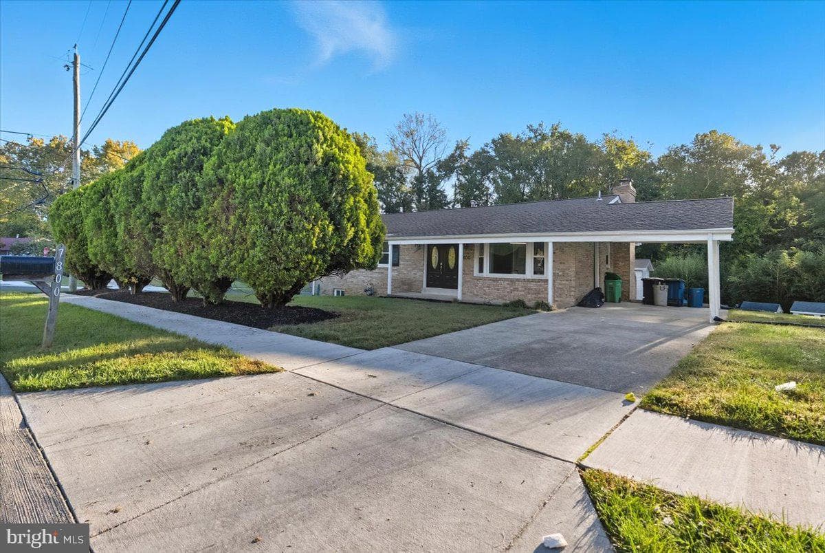 7800 Locris Drive photo 29