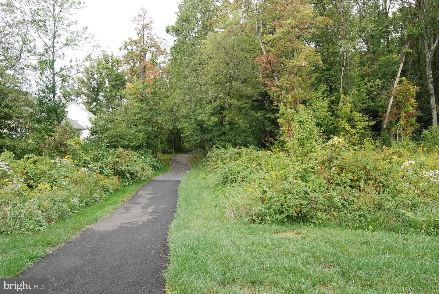 13124 Winding Trail Road photo 53