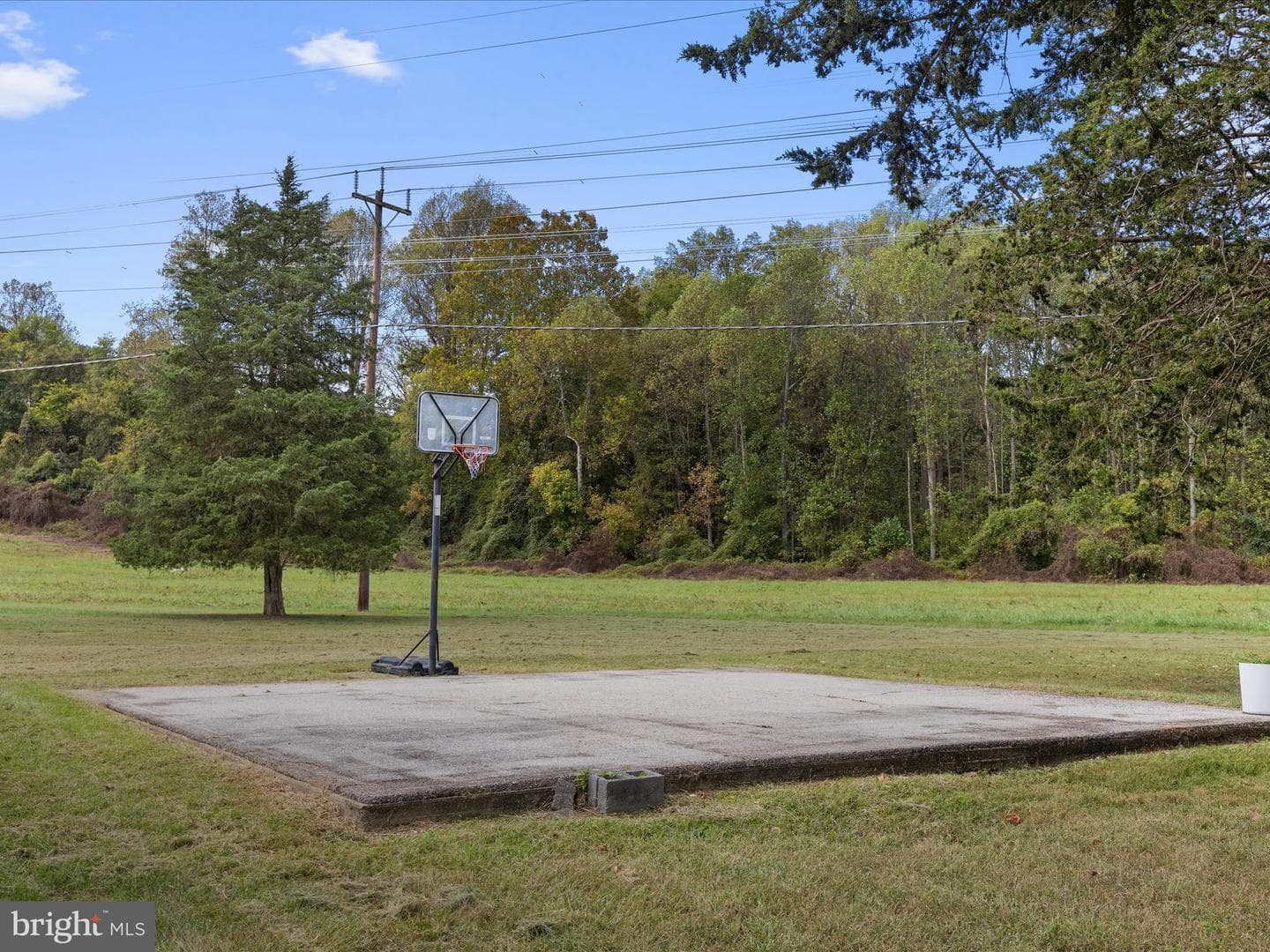 11702 Carol Ann Court photo 46