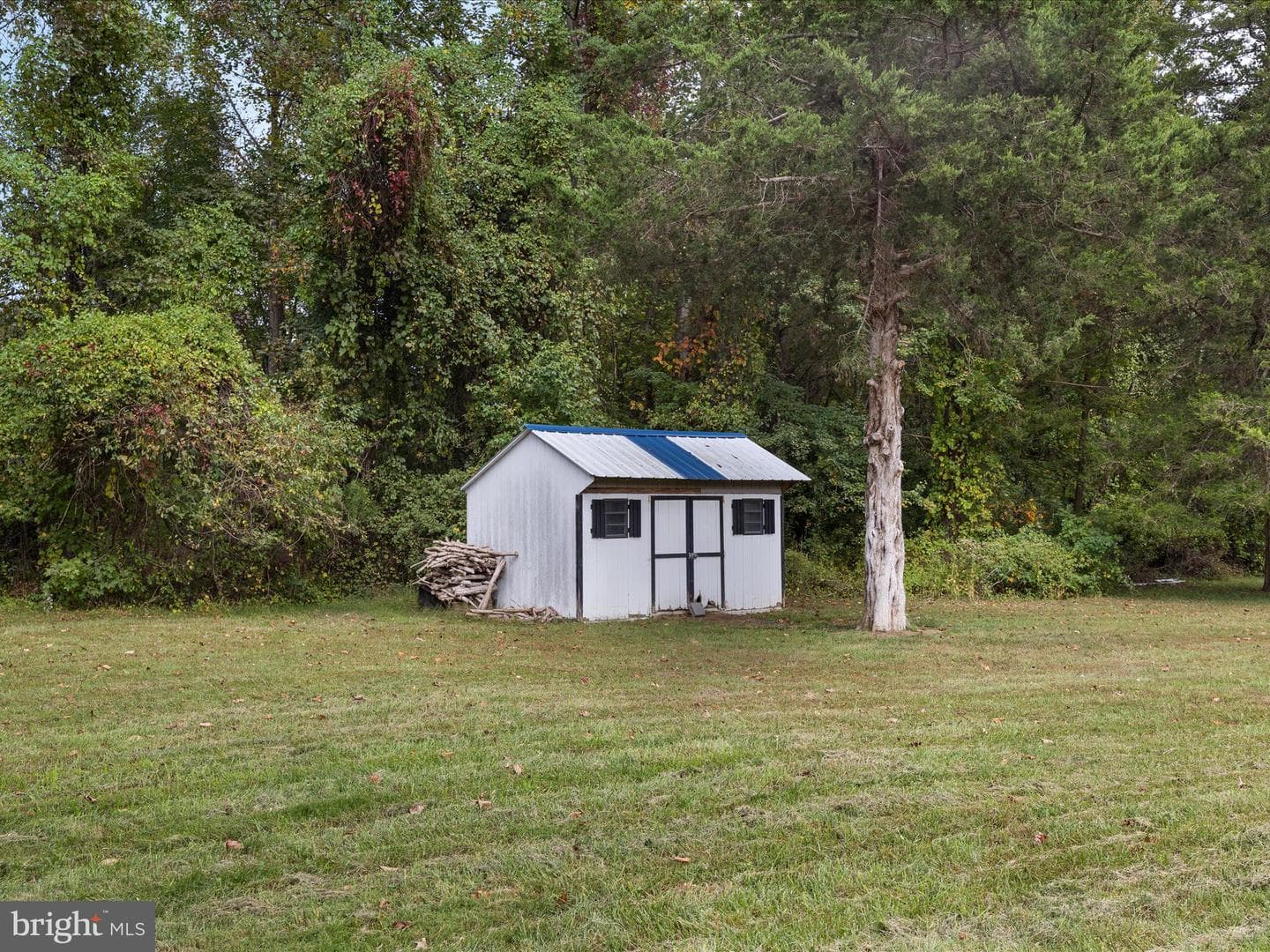 11702 Carol Ann Court photo 47