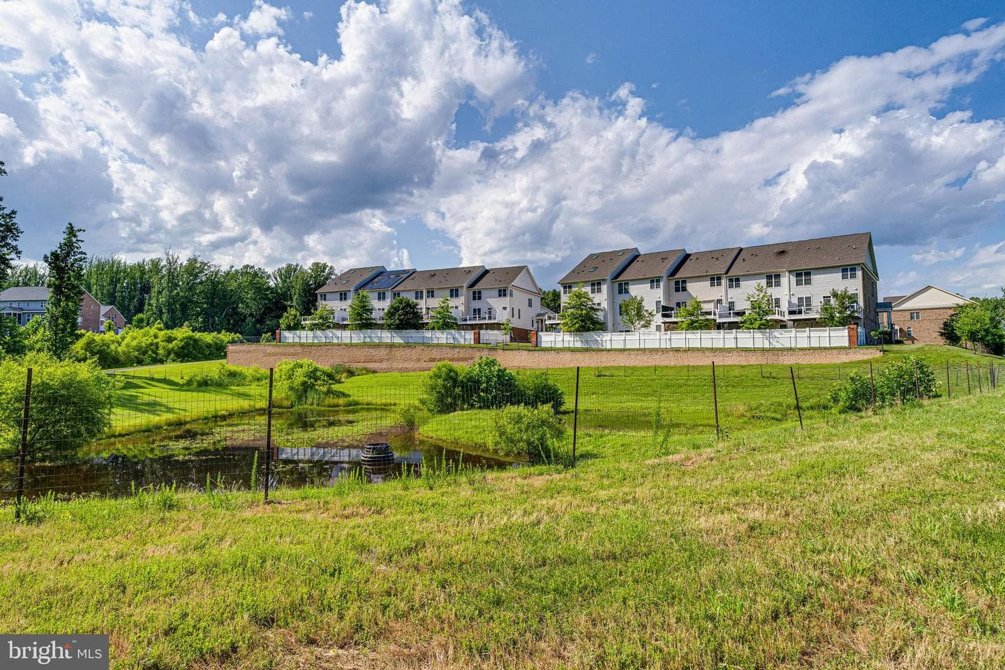 11115 Canter Circle photo 55