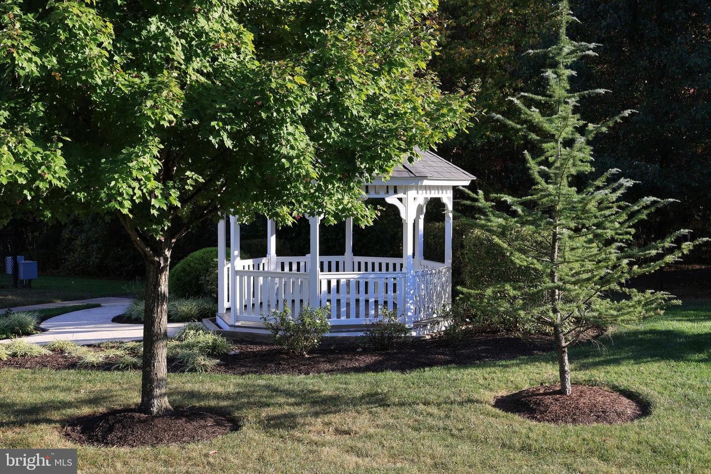 7321 Birdcherry Lane photo 9