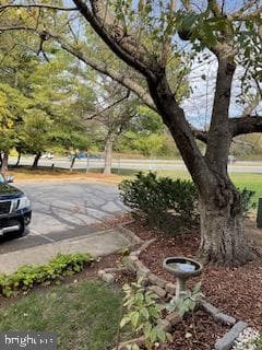 14953 London Lane photo 7