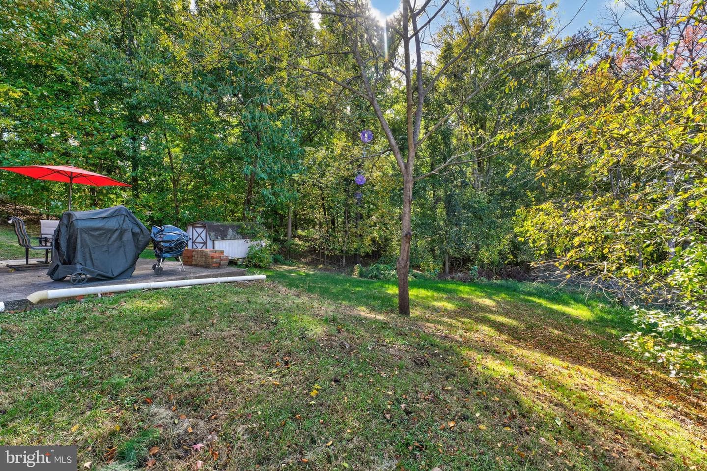 4809 Wood Road photo 24