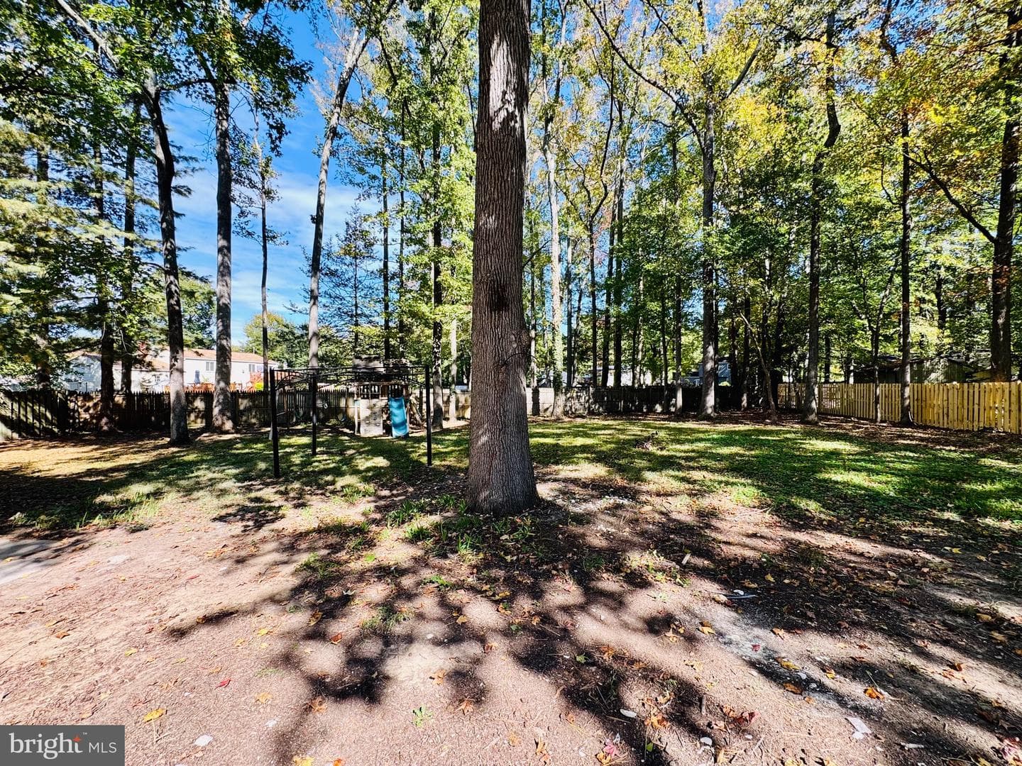 12306 Dendron Place photo 44