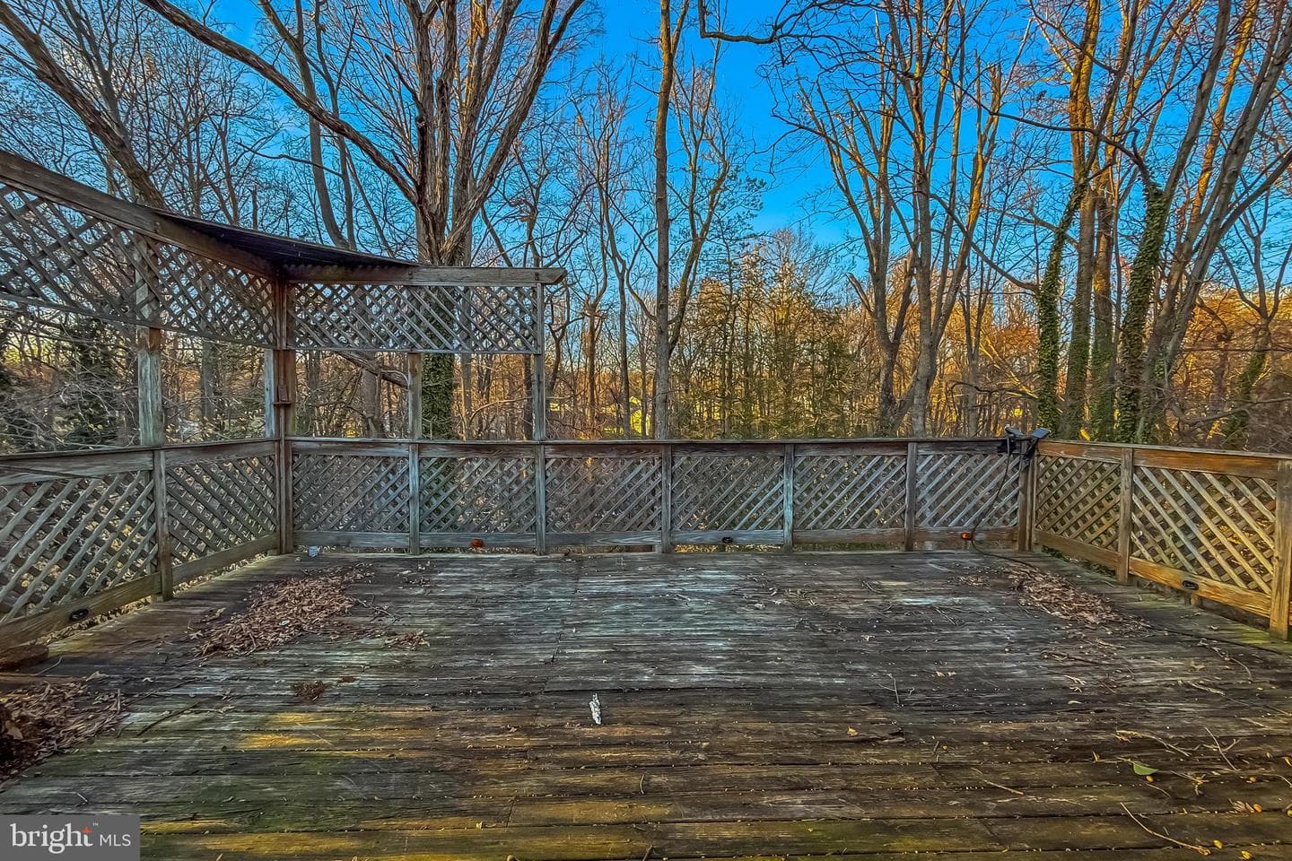 5402 Trent Street photo 9