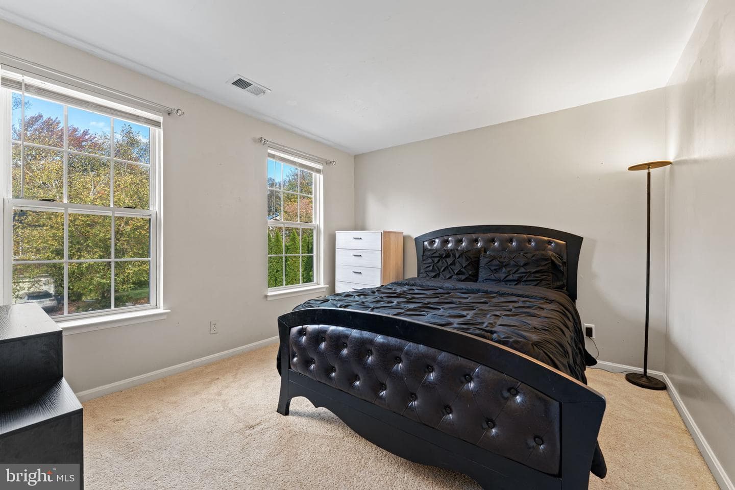 13804 Carlene Drive photo 30