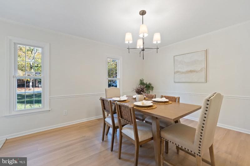 513 Holly Road photo 20