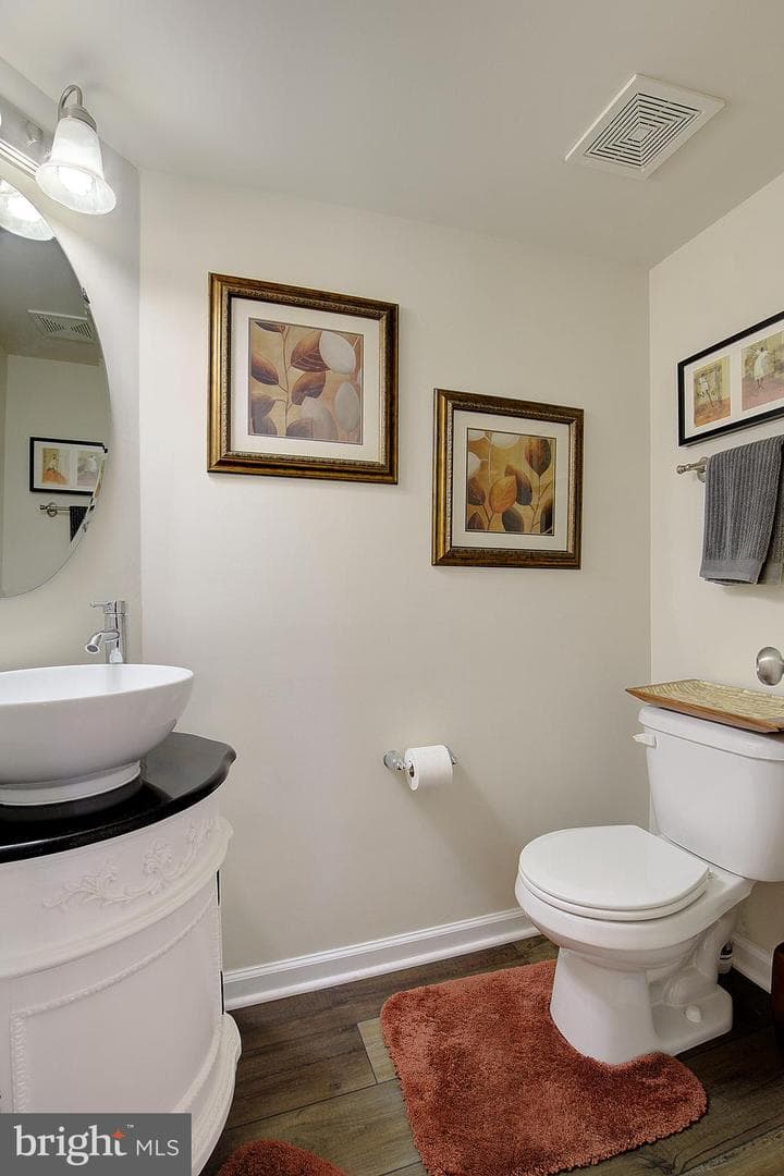 5303 Chestnut Manor Court photo 10
