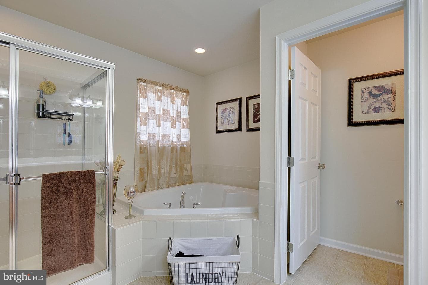5303 Chestnut Manor Court photo 41