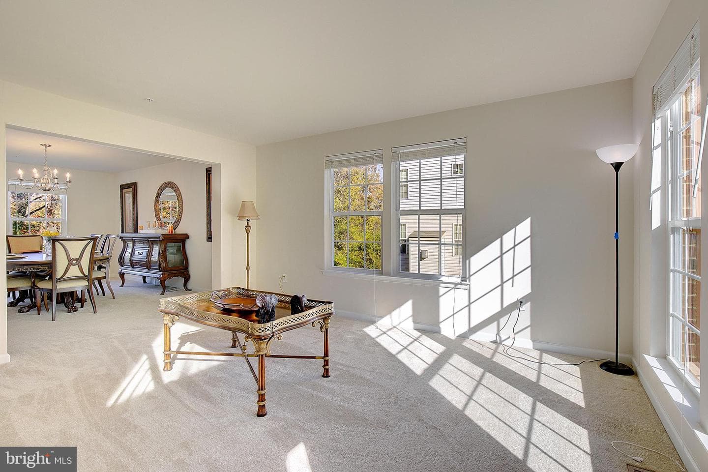 5303 Chestnut Manor Court photo 5