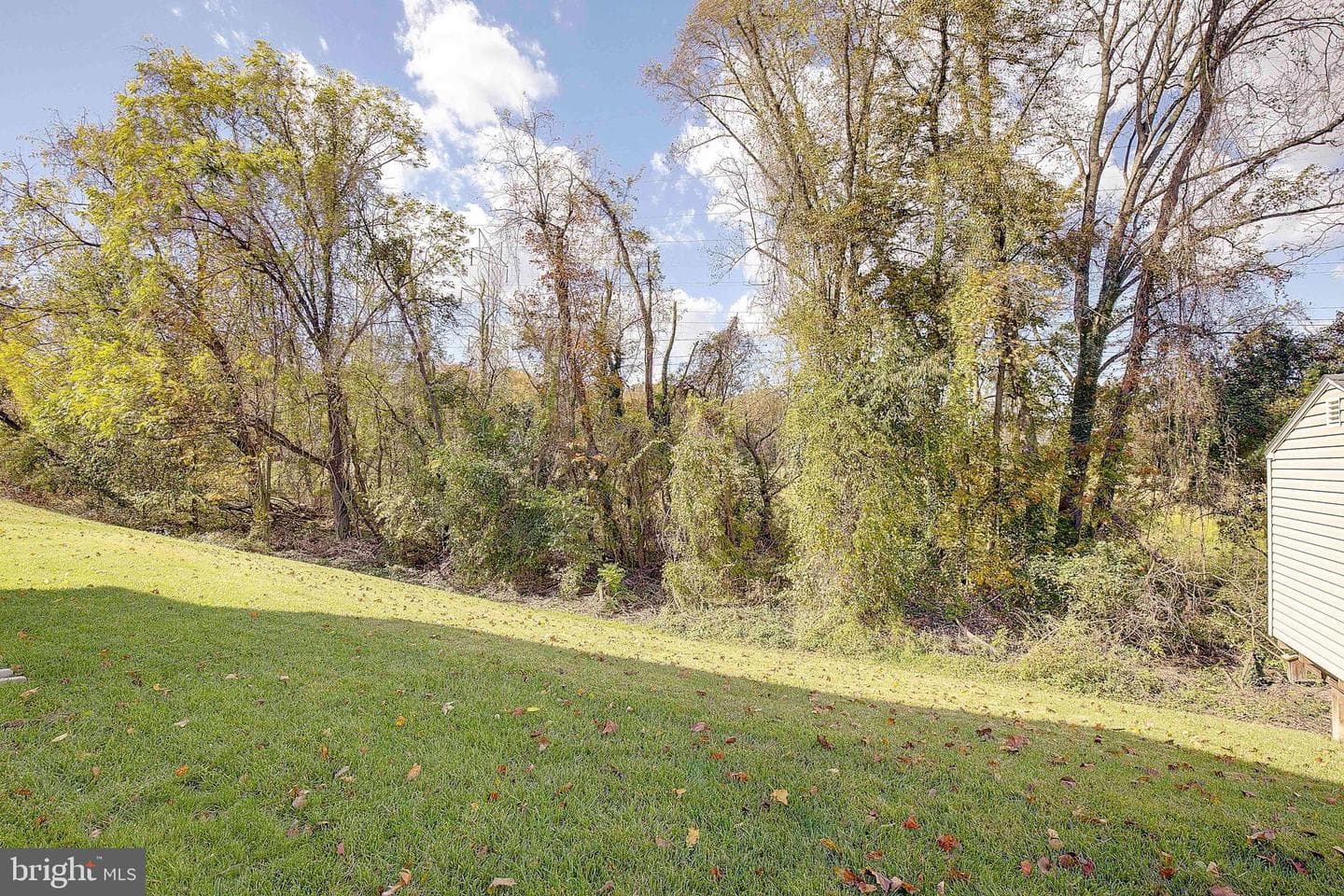 5303 Chestnut Manor Court photo 53