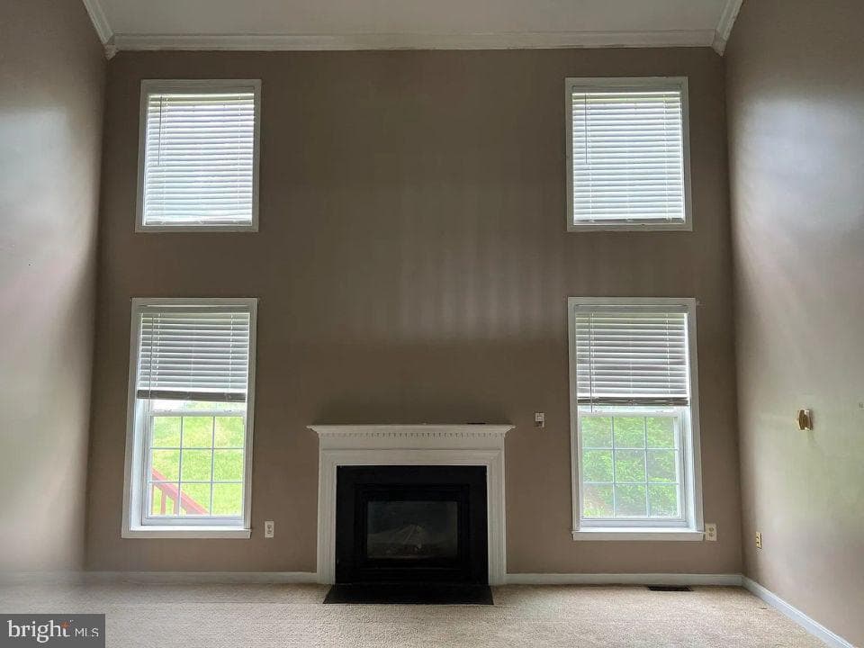 10107 Spring Water Lane photo 2