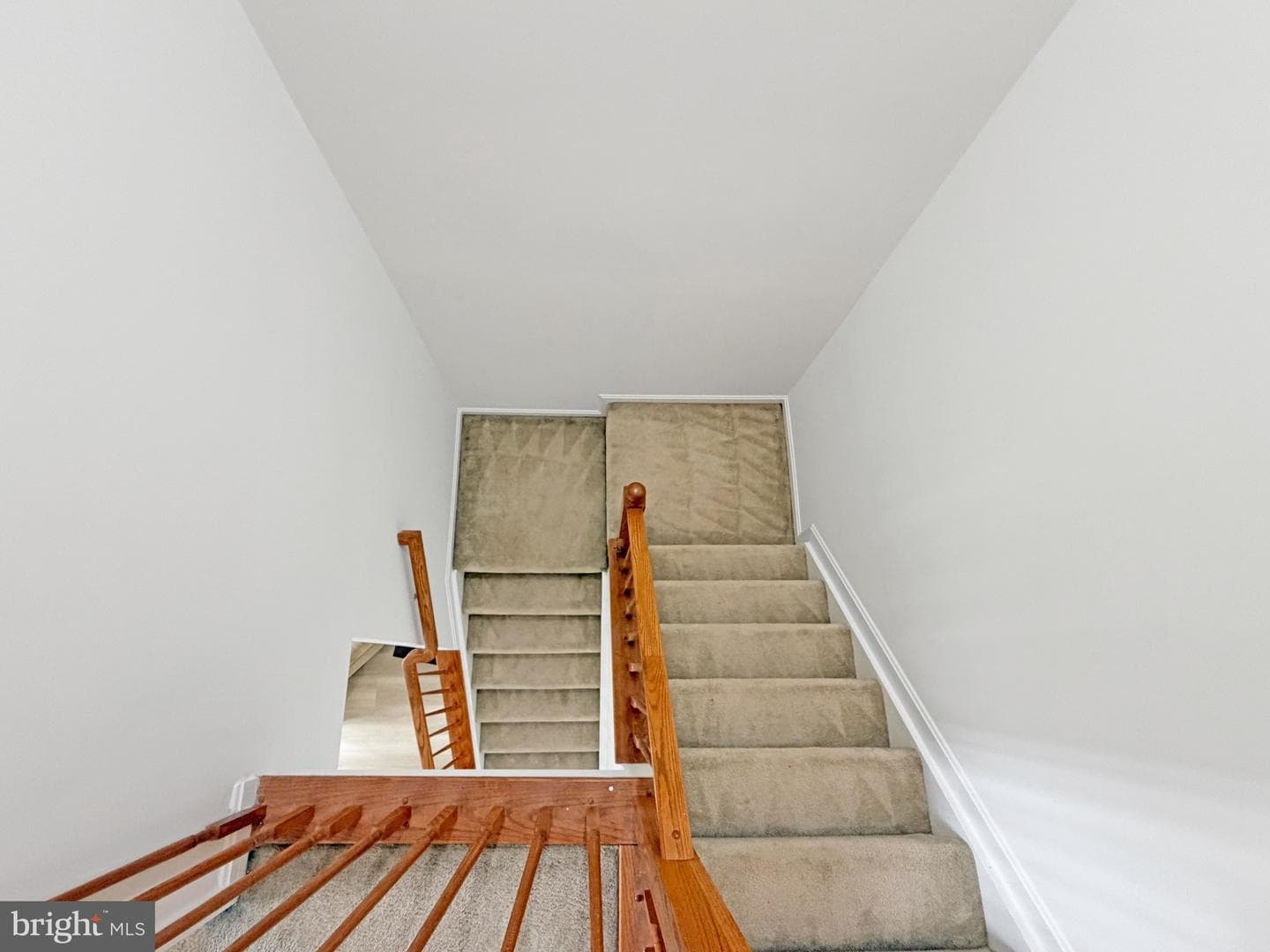 10020 Juniper Drive photo 19