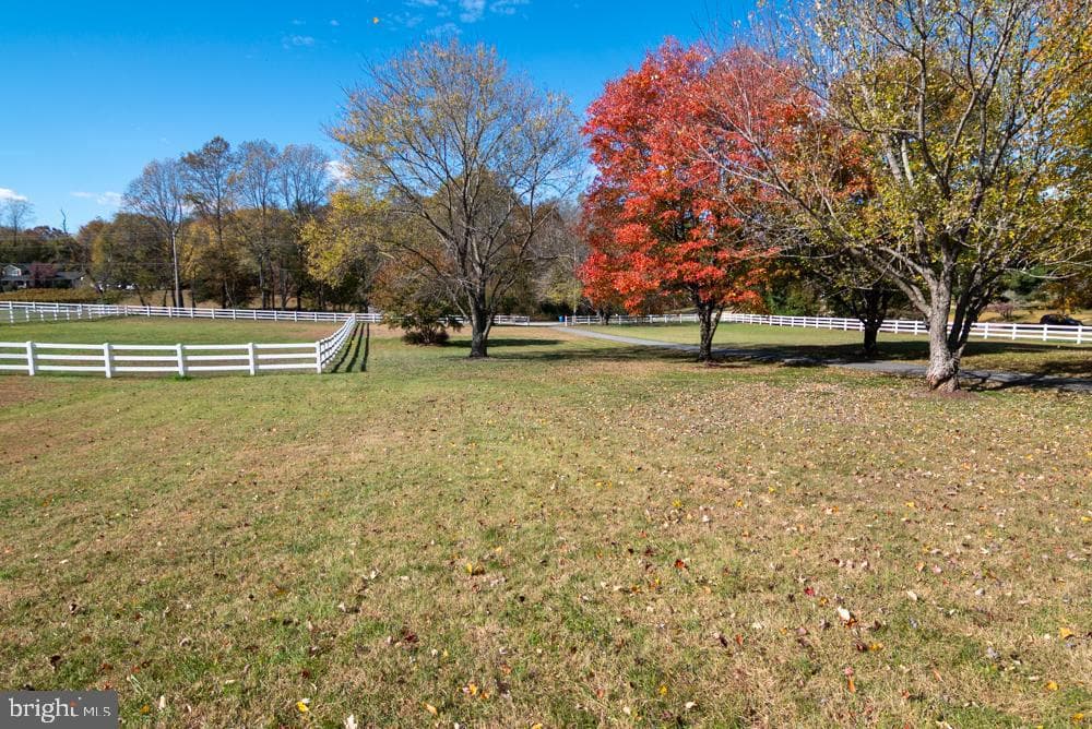15900 Bald Eagle School Road photo 4