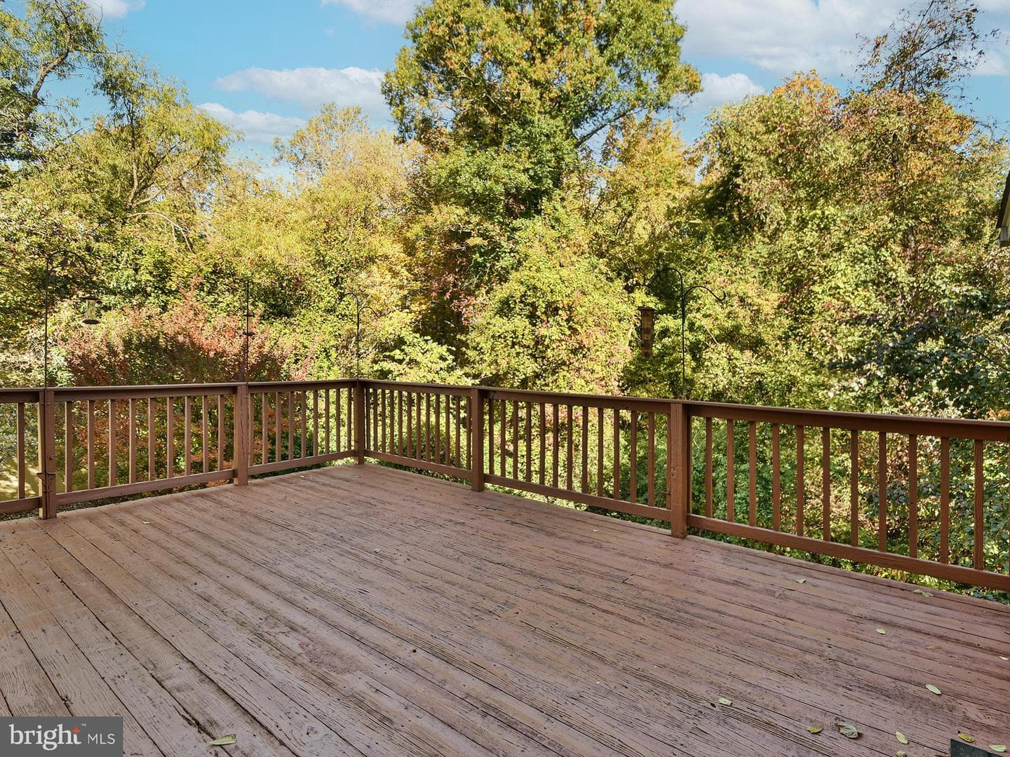 7906 Kara Court photo 24