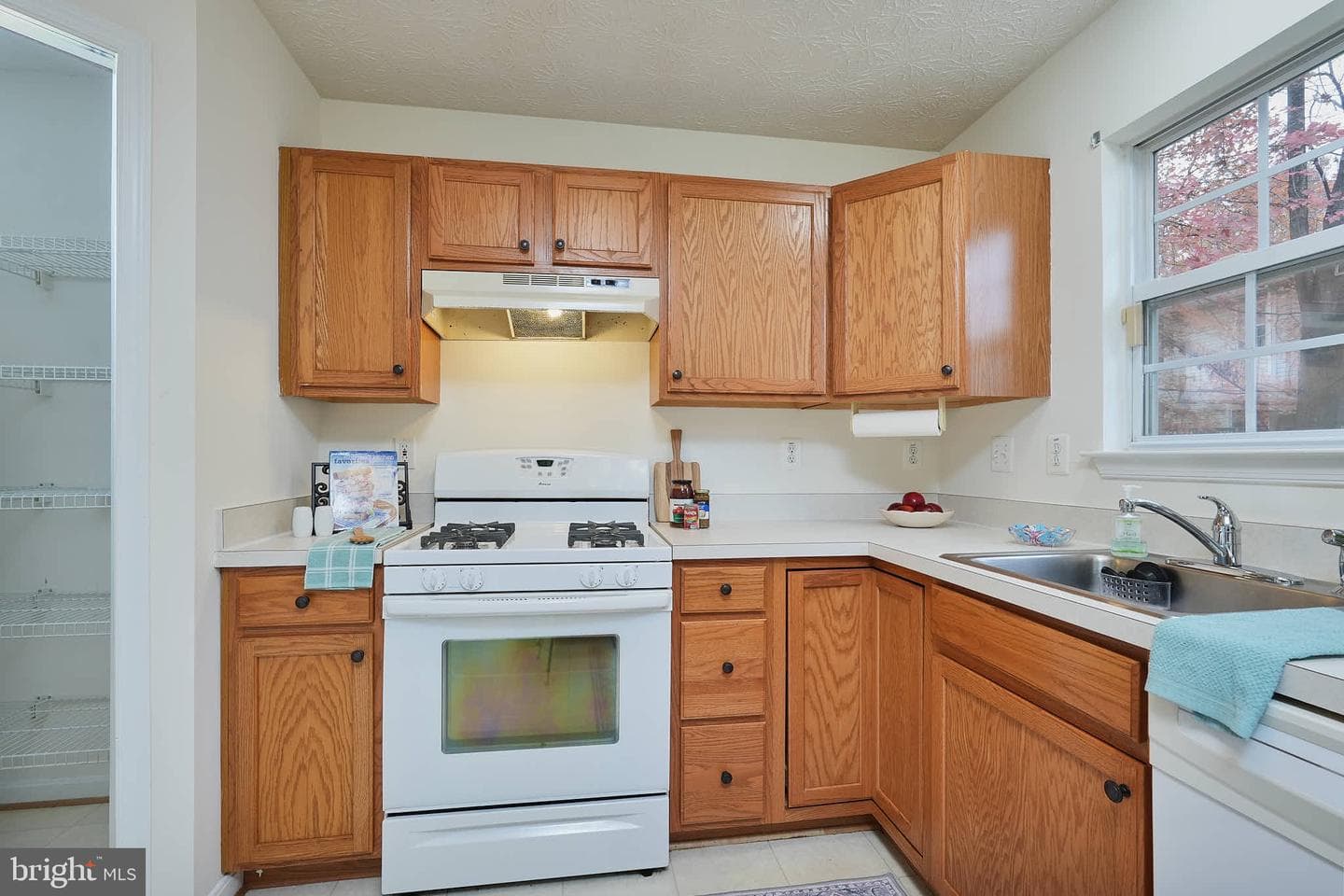 2400 Lemontree Lane photo 23