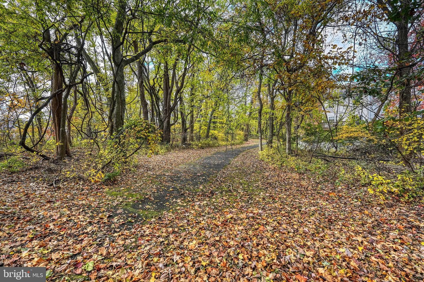 2400 Lemontree Lane photo 43