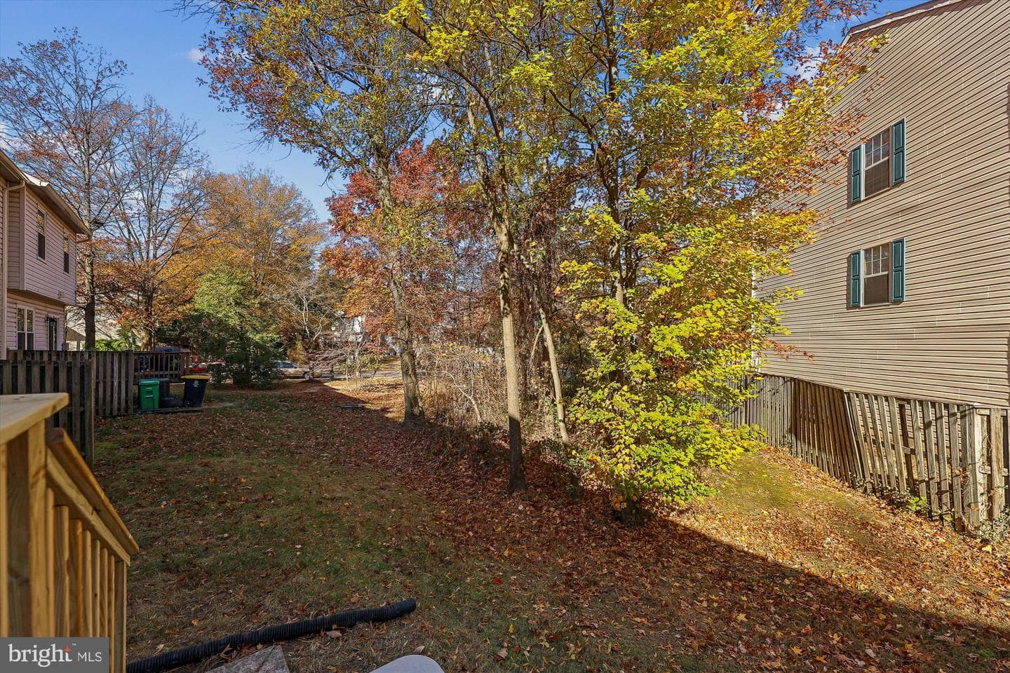 6906 Blue Holly Court photo 33