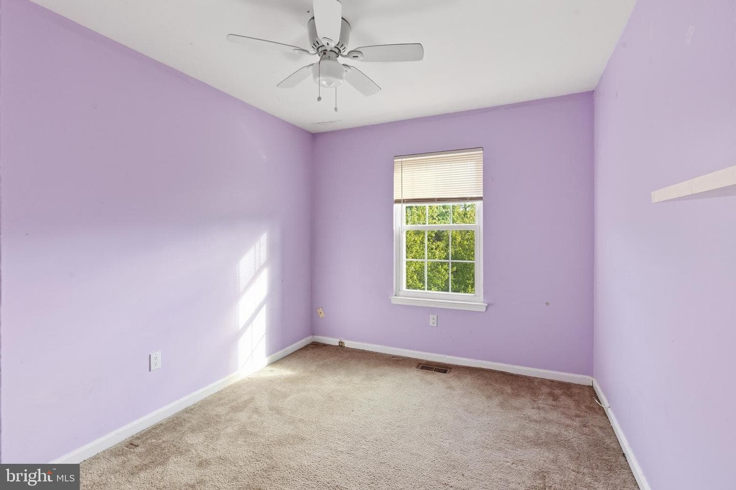 2913 Hobblebush Court photo 17