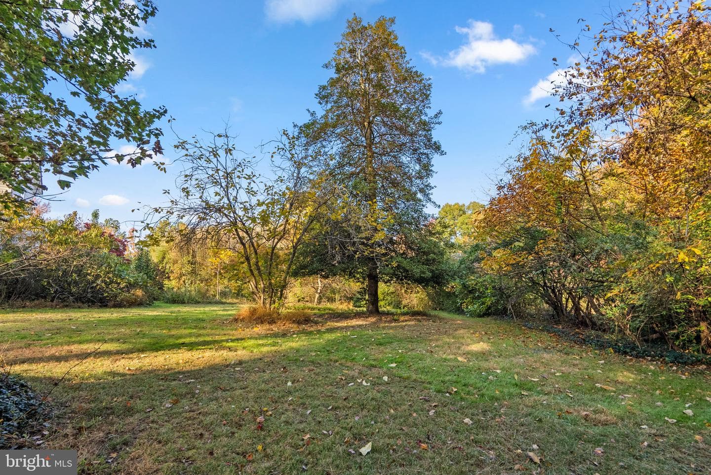 7711 Hillmeade Road photo 17