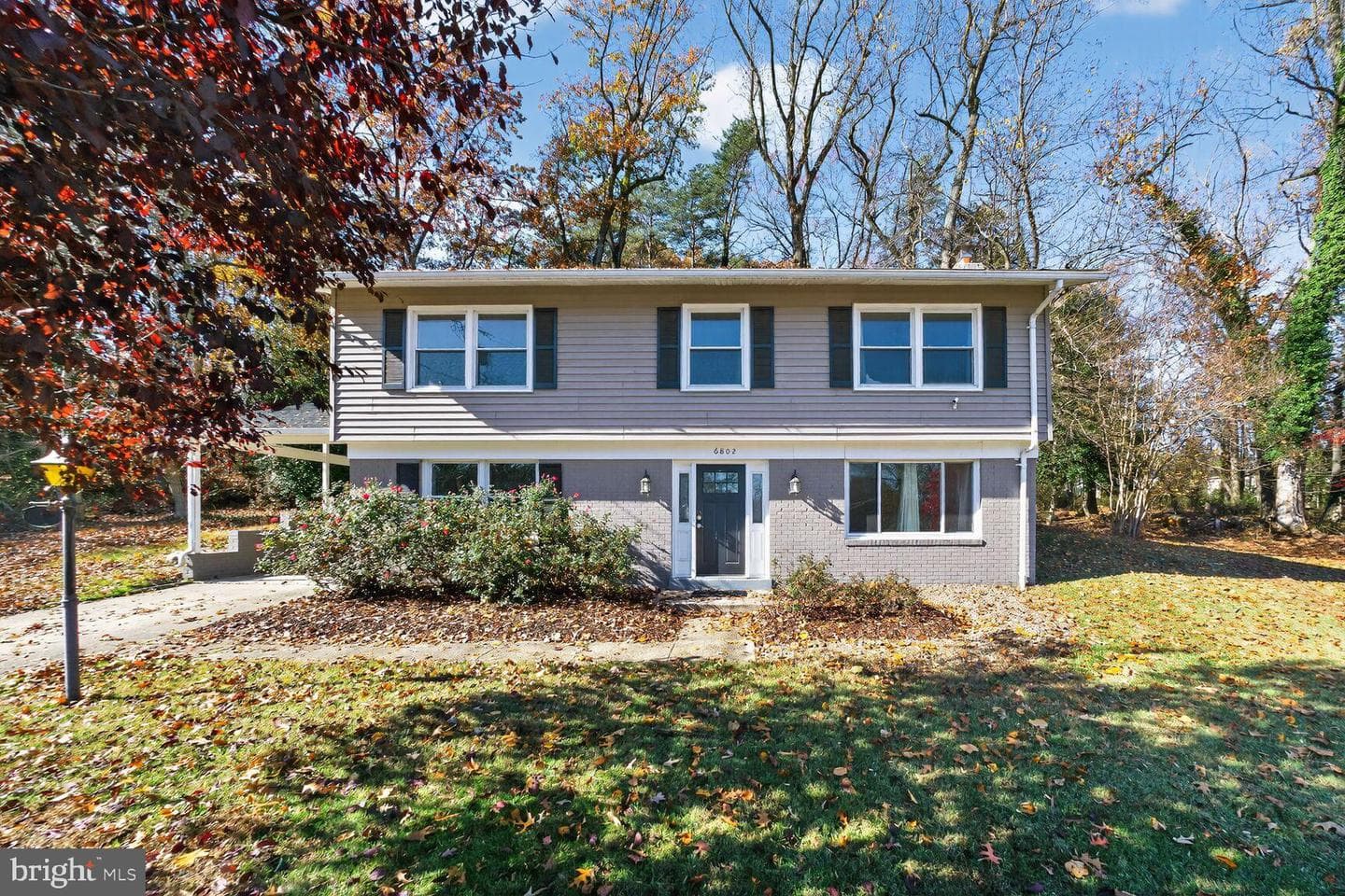 6802 Niles Drive photo 1