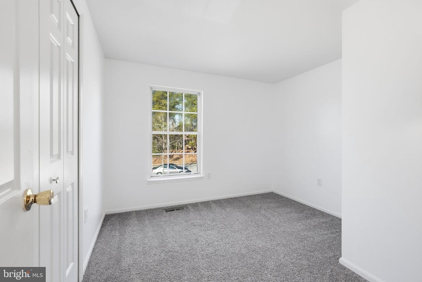 11605 Basswood Drive photo 22