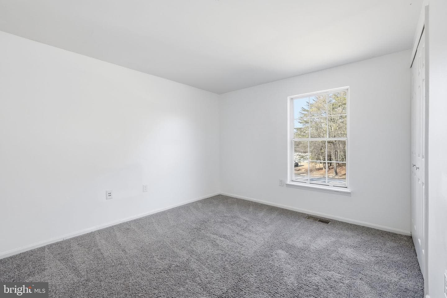 11605 Basswood Drive photo 24