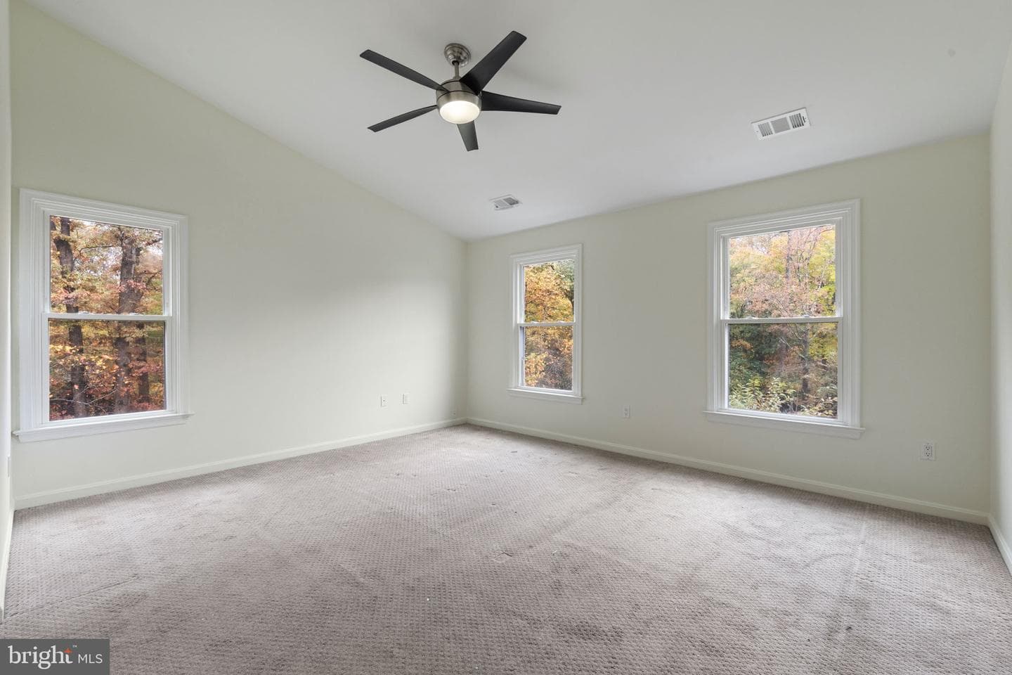 3707 Green Ash Court photo 22