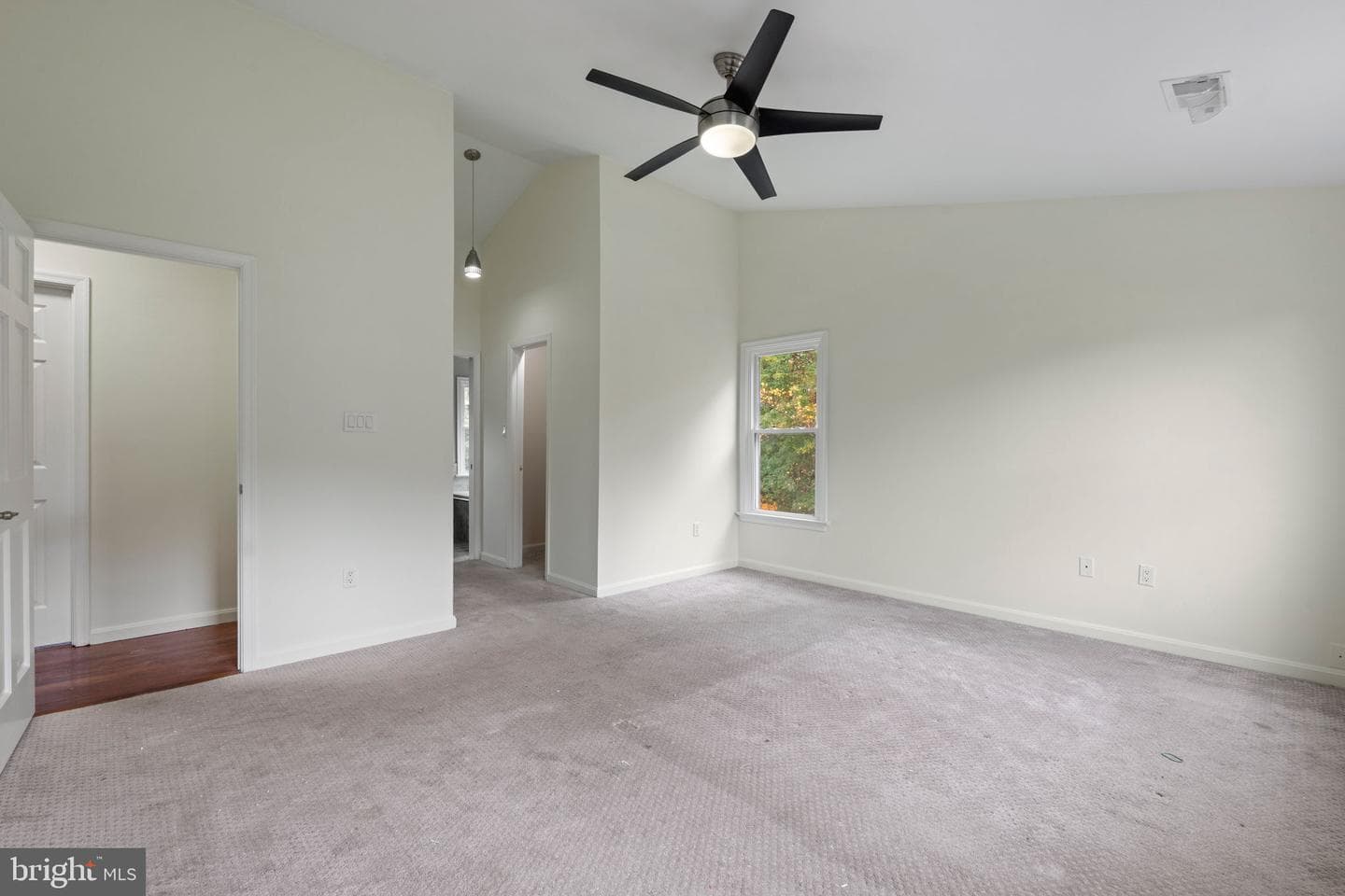 3707 Green Ash Court photo 23