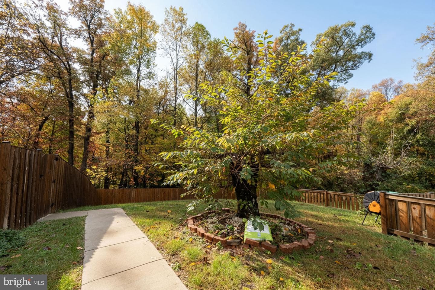 3707 Green Ash Court photo 47
