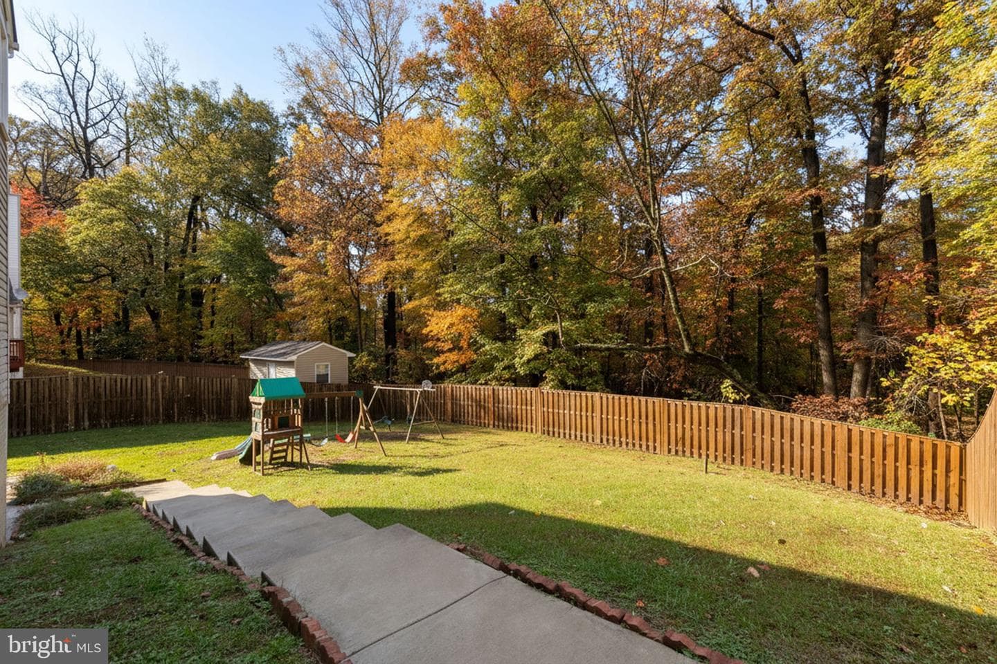 3707 Green Ash Court photo 52