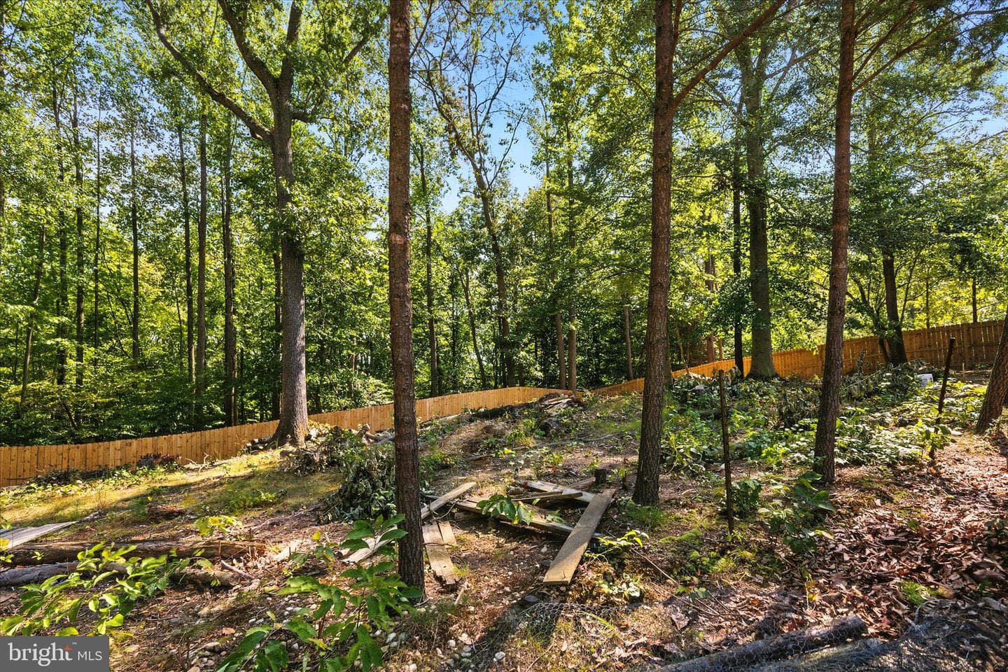 8518 Cedar Chase Drive photo 32